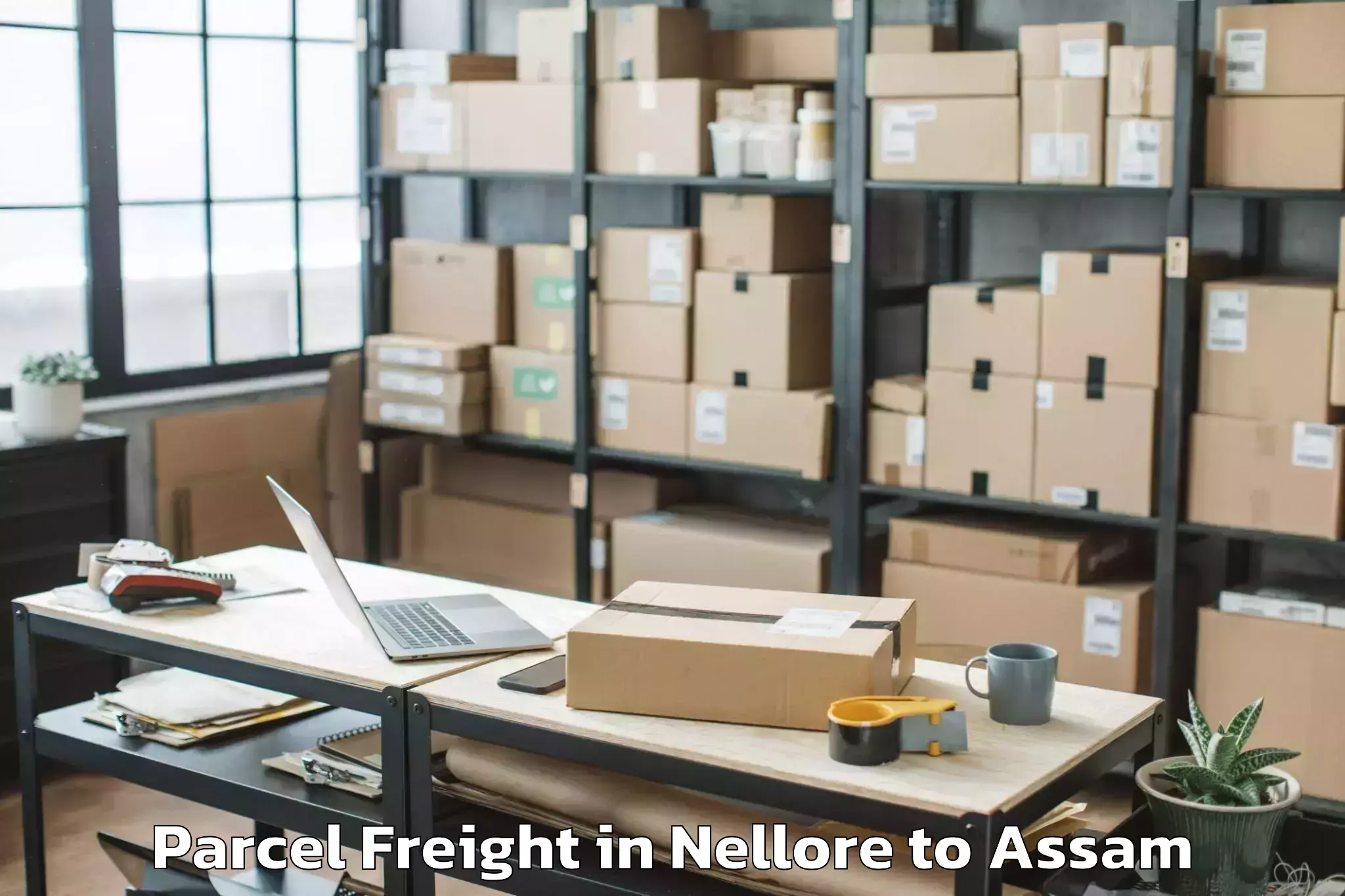 Professional Nellore to Lilabari Airport Ixi Parcel Freight